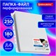 Папка-файл перфорированная 1 штука БОЛЬШОЙ ВМЕСТИМОСТИ до 250 л., A4, ПВХ, 180 мкм, BRAUBERG, 271830 271830 - фото 330274