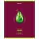 Тетрадь предметная "AVOCADO" 48 л., глянцевый лак, ИНФОРМАТИКА, клетка, BRAUBERG, 404279 404279 - фото 334102