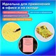 Бумага цветная 20 цветов BRAUBERG MULTICOLOR А4, 80 г/м2, 100 л. (20 цветов x 5 листов), 116649 116649 Бумага цветная 20 цветов BRAUBERG MULTICOLOR А4, 80 г/м2, 100 л. (20 цветов x 5 листов), 116649 116649