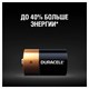 Батарейки КОМПЛЕКТ 2 шт., DURACELL Basic ОРИГИНАЛ, С (LR14, 14А), алкалиновые, блистер 450428