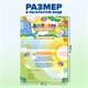 Диплом выпускника детского сада, формат А5 в сложенном виде, мелованный картон, BRAUBERG, 117536 117536