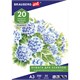 Папка для рисования БОЛЬШОГО ФОРМАТА А3, 20 л., 200 г/м2, BRAUBERG, 297х420 мм, 129224 129224 - фото 343893