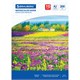 Бумага для акварели БОЛЬШАЯ А2, 10 л., 200 г/м2, 400х590 мм, BRAUBERG, "Луг", 111062 111062 - фото 344927