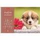 Альбом для рисования А4 40 л., спираль, обложка картон, HATBER, 205х290 мм, "Doggie-Щенки" (4 вида), 067478 113081