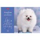 Альбом для рисования А4 40 л., спираль, обложка картон, HATBER, 205х290 мм, "Doggie-Щенки" (4 вида), 067478 113081