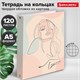 Тетрадь на кольцах А5 (175х215 мм), 120 листов, твердый картон, клетка, BRAUBERG, Девушка, 404076 404076
