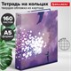 Тетрадь на кольцах А5 (175х215 мм), 160 листов, твердый картон, клетка, BRAUBERG, "Anime Dreams", 404092 404092