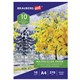 Папка для акварели А4, 10 л., 270 г/м2, мелкое зерно, BRAUBERG ART CLASSIC, "Осенняя аллея", 114397 114397 - фото 350139