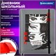 Дневник 1-11 класс 48 л., кожзам (твердая), печать, резинка, конверт, BRAUBERG, "Eyes", 106578 106578