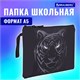 Папка для тетрадей BRAUBERG А5, 1 отделение, полиэстер, на молнии, с ручкой, "Tiger", 271500 271500 Папка для тетрадей BRAUBERG А5, 1 отделение, полиэстер, на молнии, с ручкой, "Tiger", 271500 271500