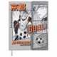 Дневник 1-11 класс 48 л., кожзам (твердая), магнитный клапан, ЮНЛАНДИЯ, "Goal", 106929 106929 - фото 353850