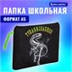 Папка для тетрадей BRAUBERG А5, 1 отделение, полиэстер, на молнии, с ручкой, "Tyrannosaur", 272203 272203 Папка для тетрадей BRAUBERG А5, 1 отделение, полиэстер, на молнии, с ручкой, "Tyrannosaur", 272203 272203