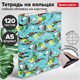 Тетрадь на кольцах А5 160х212 мм, 120 листов, картон, выборочный лак, клетка, BRAUBERG, "Карпы Кои", 404730 404730