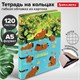 Тетрадь на кольцах А5 160х212 мм, 120 листов, картон, выборочный лак, клетка, BRAUBERG, "Капибары", 404731 404731