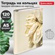 Тетрадь на кольцах А5 175х215 мм, 120 листов, твердый картон, фольга, клетка, BRAUBERG, "Softness", 404722 404722