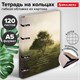 Тетрадь на кольцах А5 160х212 мм, 120 листов, картон, матовая ламинация, клетка, BRAUBERG, "Nature", 404728 404728