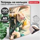 Тетрадь на кольцах А5 160х212 мм, 120 листов, картон, фольга, клетка, BRAUBERG, "Delicate flowers", 404737 404737
