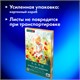 Бумага для акварели А3 60 л., 270 г/м2, мелкое зерно, в коробке, BRAUBERG ART CLASSIC, "Весна", 116888 116888