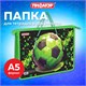 Папка на молнии с ручками ПИФАГОР А4, 1 отделение, пластик, ручки-шнурок, "Offline", 273354 273354