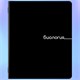 Тетради предметные, КОМПЛЕКТ 12 ПРЕДМЕТОВ, 48 л., обложка картон, BRAUBERG "BLACK", 405164 405164