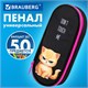 Пенал-футляр BRAUBERG, 1 отделение, органайзер, полиэстер, 22x9х5 см, "Angry kitty", 273566 273566
