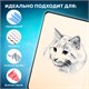 Скетчбук, слоновая кость+белая 140 г/м2, 90х140 мм, 80 л., КОЖЗАМ, резинка, BRAUBERG ART CLASSIC, черный, 116871 116871 Скетчбук, слоновая кость+белая 140 г/м2, 90х140 мм, 80 л., КОЖЗАМ, резинка, BRAUBERG ART CLASSIC, черный, 116871 116871
