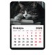 Календарь отрывной на магните на 2026 г., BRAUBERG, 130x180 мм, склейка, "Спящий кот", 117292 117292 - фото 367008