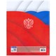 Дневник 5-11 класс 48 л., твердый, BRAUBERG, глянцевая ламинация, с подсказом, "Герб", 106625 106625