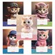 Тетрадь 12 л., HATBER клетка, обложка картон, "Мы - котики!" (микс в спайке), 086195, 12Т5В1 107425