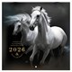 Календарь настенный перекидной 2026 г., BRAUBERG, 12 листов, 28,5х28,5 см, "Символ года", 116928 116928