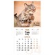 Календарь настенный перекидной 2026 г., BRAUBERG, 12 листов, 28,5х28,5 см, "Милые котики", 116929 116929