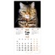 Календарь настенный перекидной 2026 г., BRAUBERG, 12 листов, 28,5х28,5 см, "Милые котики", 116929 116929