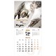Календарь настенный перекидной 2026 г., BRAUBERG, 12 листов, 28,5х28,5 см, "Милые котики", 116929 116929