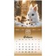 Календарь настенный перекидной 2026 г., BRAUBERG, 12 листов, 21,4х21,4 см, МИНИ, "Magic animals", 116943 116943