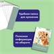 Папка для акварели БОЛЬШАЯ А3, 20 л., 200 г/м2, 297х420 мм, BRAUBERG АКАДЕМИЯ, "Львёнок", 117745 117745