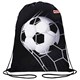 Мешок для обуви ПИФАГОР, 1 отделение, 42х34 см, "Ball kick", 272386 272386