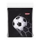 Мешок для обуви ПИФАГОР, 1 отделение, 42х34 см, "Ball kick", 272386 272386