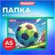 Папка для тетрадей ПИФАГОР А5, 1 отделение, пластик, на молнии, "Football match", 273329 273329