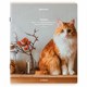 Тетрадь А5, 48 л., BRAUBERG, скоба, клетка, матовая ламинация, "Cats", (микс в спайке), 405334 405334