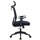 Кресло BRABIX PREMIUM "Agent ER-404", поясничная поддержка, регулируемый подголовник, ткань/сетка, черное, 532970 532970