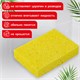 Губки для посуды 95х65х20 мм, ЦЕЛЛЮЛОЗНЫЕ, КОМПЛЕКТ 2 штуки, желтые, LAIMA, 700255 700255