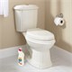 Средство для уборки туалета кислотное 750 г, LAIMA PROFESSIONAL Лимон-WC Гель, утенок, 604793 604793