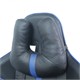 Кресло компьютерное BRABIX GT Carbon GM-120, две подушки, экокожа, черное/синее, 531930 531930