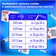 степлeр МОЩНЫЙ №24/6-23/15 BRAUBERG Heavy duty PRO, до 100 листов, эргономичный, серо-синий, 227661 227661