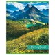 Тетрадь А5, 48 л., HATBER-ECO скоба, офсет №2 ЭКОНОМ, клетка, обложка мелованная бумага, GreenLand, 48Т5D1 404490