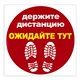 Наклейка напольная "ДЕРЖИТЕ ДИСТАНЦИЮ-ОЖИДАЙТЕ ТУТ", красная, 500х500 мм, самоклеящаяся, КП11 610856