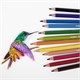 Карандаши цветные стираемые с резинкой CARIOCA "Erasable", 12 цветов, шестигранные, грифель 3 мм, 42897 181699