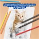 Карандаши цветные BRAUBERG PREMIUM 24 цвета + 2 чернографитных карандаша, трехгранные, грифель 3 мм, 181937 181937