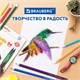 Карандаши цветные BRAUBERG PREMIUM 24 цвета + 2 чернографитных карандаша, трехгранные, грифель 3 мм, 181937 181937
