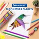 Карандаши цветные BRAUBERG PREMIUM 36 цветов в тубе, трехгранные, грифель 3,3 мм, натуральное дерево, 181934 181934